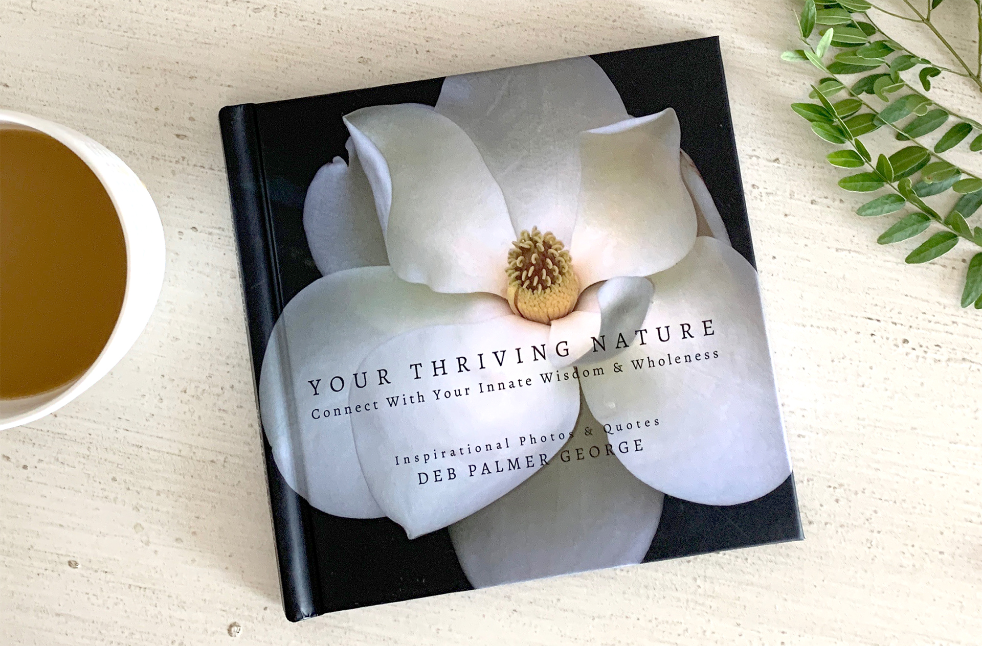 Deb Palmer George Book Your Thriving Nature